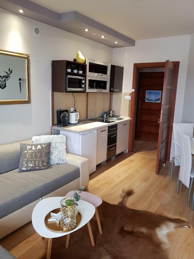 Apartament Morskie Oko Kościelisko Extérieur photo